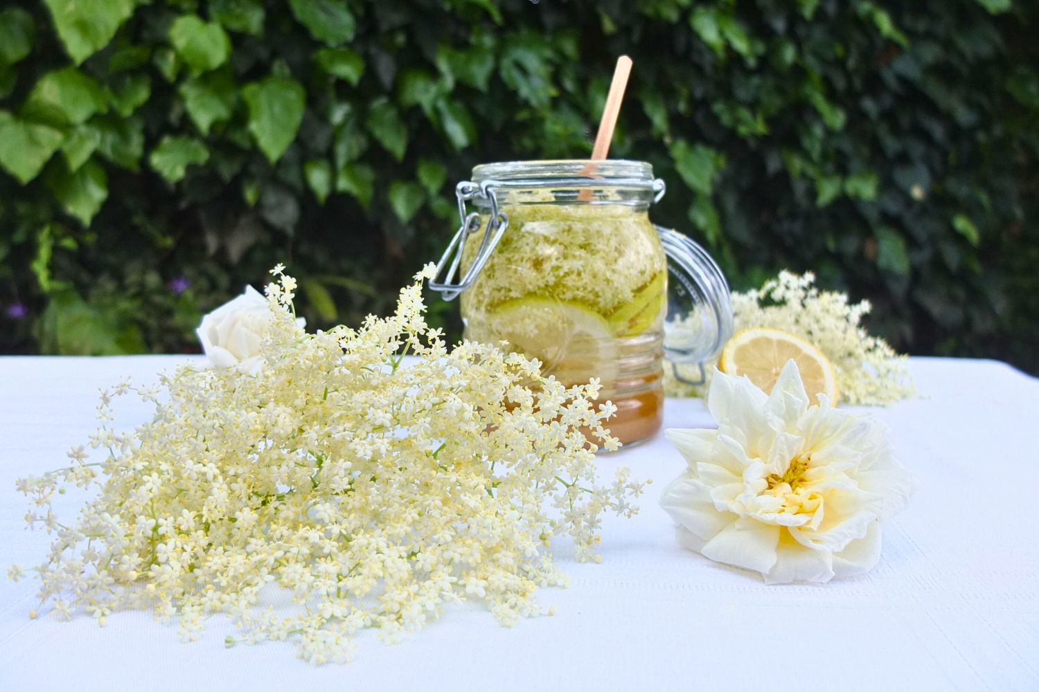 Champagne des fées dans un bocal avec autour des fleurs du sureau et des roses blanches 
