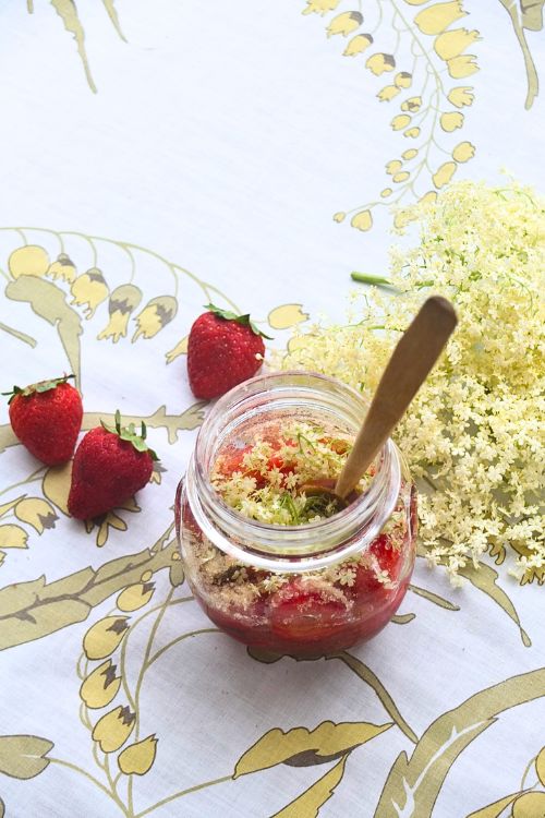 Recette de sirop cru aux queues de fraise et fleurs de sureau